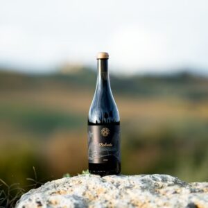 b1-bottiglia-balvede-012