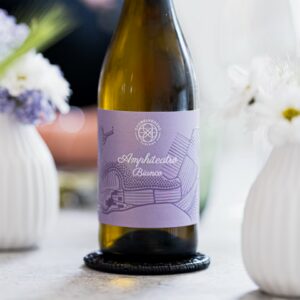b1-vino-bottiglia-Anfiteatro-1