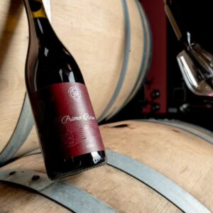 b1-bouteille-de-vin-primorosso-12