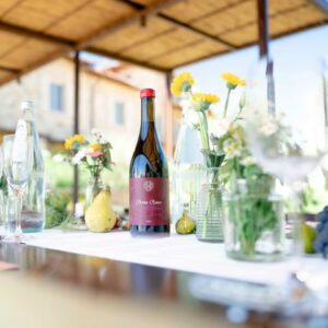 b1-bottiglia-di-vino-primorosso-22