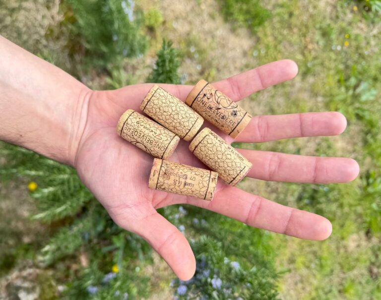 Hand holding five natural wine corks in a vineyard at Belvedere1 Winery in Chianti